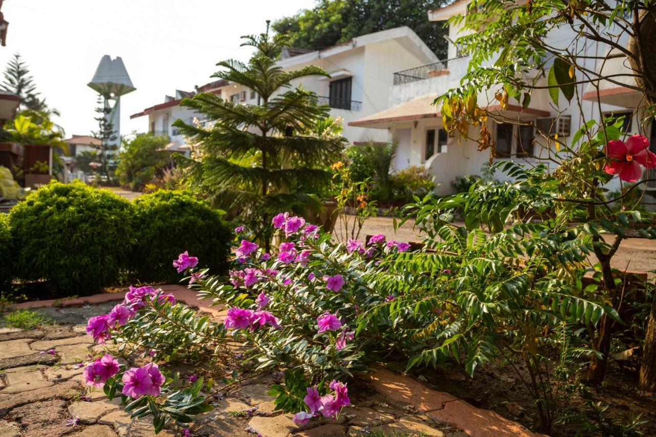 AspireAlconVilla-2Bhk-BeachTouch-Candolim Exterior foto